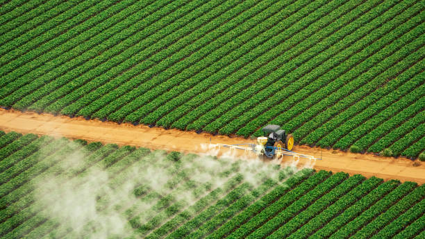 Best Commercial Pest Control Services  in Norcross, GA