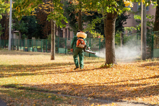 Best Wasp Removal Services  in Norcross, GA