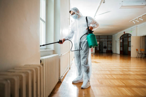 Best Termite Control Services  in Norcross, GA