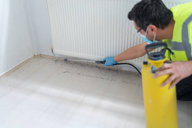 Best Flea Control Services  in Norcross, GA