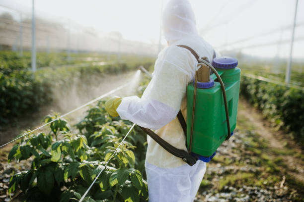 Best Rat Extermination Near Me  in Norcross, GA